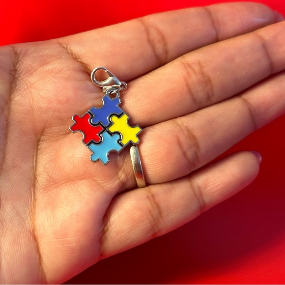Autism Awareness 🧩 Charm - Picture 1 of 1